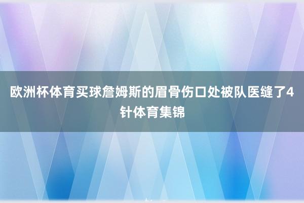 歐洲杯體育買球詹姆斯的眉骨傷口處被隊醫(yī)縫了4針體育集錦