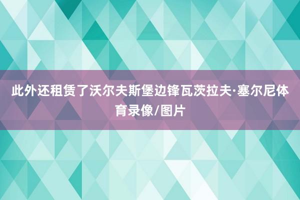 此外還租賃了沃爾夫斯堡邊鋒瓦茨拉夫·塞爾尼體育錄像/圖片